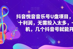 【第4630期】抖音音乐怎么赚钱:抖音音乐号U盘项目,一台手机一单几十利润