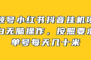 【副业2878期】副业挂机项目：视频号小红书抖音小白无脑操作，单号每天几十米