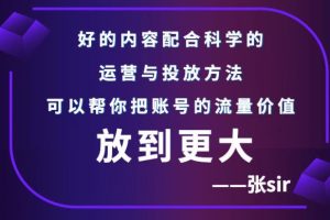 【副业3146期】抖音流量少怎么提高流量：张sir抖音流量增长课，让你的流量更精准