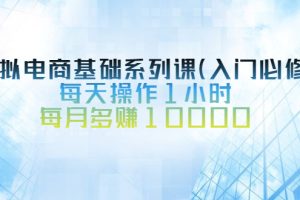 【副业2964期】虚拟电商怎么赚钱：虚拟电商基础系列课（入门必修）