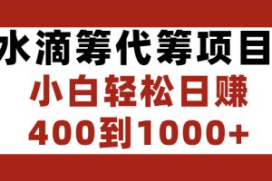 【副业3022期】水滴筹赚钱副业项目：水滴筹代筹，小白轻松日赚400到1000+