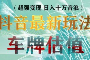 【第4527期】抖音无人直播怎么赚钱：抖音最新无人直播变现直播车牌估值玩法项目
