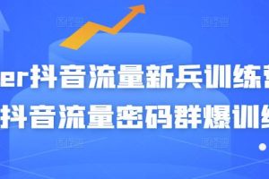 【副业3211期】抖音获取高流量的技巧：Peter抖音流量新兵训练营-破解抖音流量密码