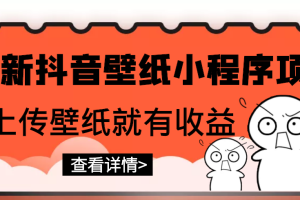 【副业3174期】抖音壁纸小程序怎么赚钱：最新抖音壁纸小程序，上传壁纸就有收益