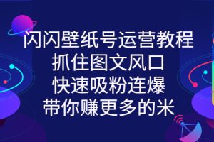【副业3163期】抖音壁纸号怎么赚钱：闪闪抖音壁纸号项目操作流程视频教程