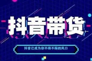 【副业3345期】抖音电商怎么做：一齐直播电商抖音短视频实战班，6月线下课9小时录音+文档