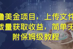 【第6326期】最新赚美金项目，上传文件，通过下载量获取收益，简单无脑保姆级教程【揭秘】
