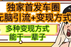 【第6313期】最新独家日入过千车圈暴力引流变现详解【揭秘】