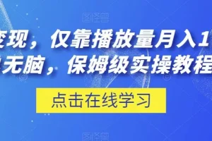 【第6276期】流量变现，仅靠播放量月入1W＋，简单无脑，保姆级实操教程【揭秘】
