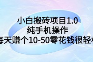 【副业3143期】挣零花钱的副业：小白搬砖项目1.0，纯手机操作，日入10-50零花钱