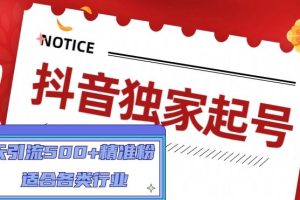 【副业4294期】抖音起号赚钱：一天引流500+精准粉，适合各类行业抖音起号