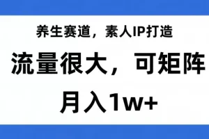 【第6240期】养生项目赛道，素人IP打造，流量很大，可矩阵，月入1w+