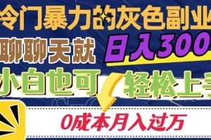 【第6228期】冷门暴利的副业项目，聊聊天就能日入300+，0成本月入过万