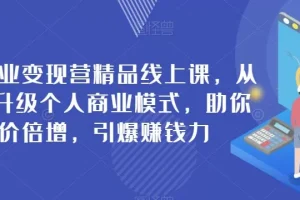 【第6210期】个人商业变现营，从0到1升级个人商业模式，助你引爆赚钱力