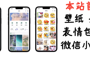 【副业3195期】副业项目：0基础搭建微信壁纸头像表情包小程序（源码+视频教程）