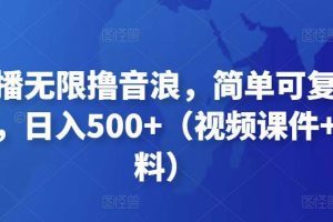 【副业4203期】抖音怎么赚钱：抖音暴力福袋撸音浪玩法，小白每天几百+【视频教程】