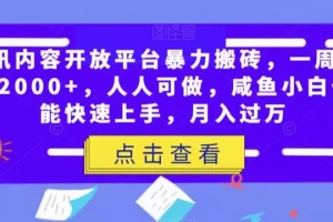 【第6206期】腾讯内容开放平台暴力搬砖项目，一周收益2000+，人人可做副业项目