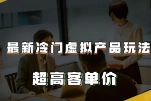 【第6181期】最新冷门虚拟产品玩法，超高客单价，月入2-3万＋【揭秘】