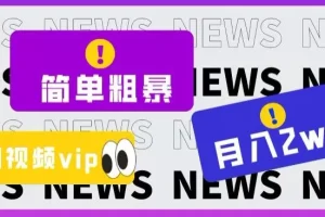 【第6168期】简单粗暴零成本，高回报，全网视频VIP掘金项目，月入2万＋