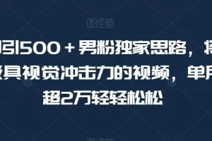 【第6165期】暴力日引500＋男粉独家思路，将美女做成极具视觉冲击力的视频，单月盈利超2万
