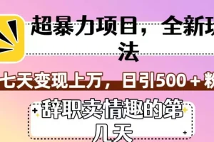 【第6125期】卖情趣超暴利项目，全新玩法，七天变现上万，日引粉500+