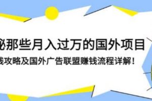 【副业3279期】国外广告联盟怎么做:月入过万的国外广告联盟赚钱攻略详解!