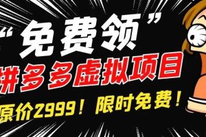 【副业3303期】拼多多虚拟店铺怎么开：2022新手开虚拟店铺注册运营自动发货（全套教程）