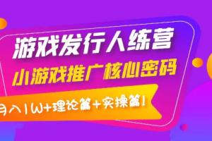【副业4116期】游戏发行人计划训练营：小游戏推广，月入1W+理论篇+实操篇！