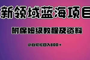 【第6109期】虚拟资源蓝海领域新副业项目，轻松日入800＋，附保姆级教程及资料