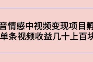 【副业3947】情感中视频项目怎么做：抖音情感中视频变现项目