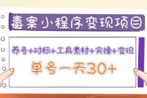 【副业3788】抖音图文案小程序变现项目：养号+对标+工具素材+实操，单号一天30+