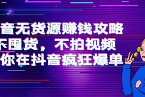【副业3795】抖音无货源带货:不囤货,不拍视频,抖音无货源赚钱攻略