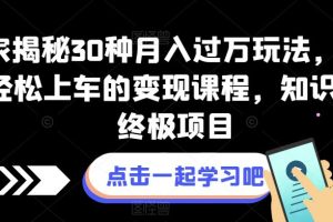 【第6021期】揭秘30种月入过万副业玩法，小白轻松上车变现，知识付费终极项目