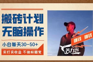 【第6020期】搬砖计划，小白无脑操作每天利润30-50+，完全无脑，不存在封号【揭秘】