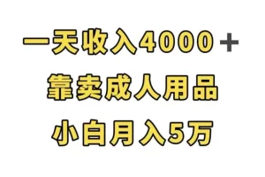 【第6008期】一天收入4000+，靠卖成人用品，小白轻松月入5万【揭秘】