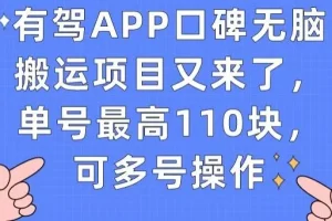 【第5990期】有驾APP口碑无脑搬运项目又来了，单号最高110块，可多号操作