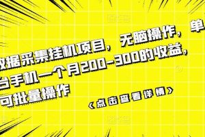 【副业3442期】数据采集挂机项目，可批量操作，单台手机月入200-300
