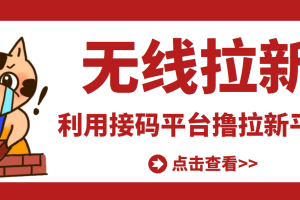 【副业3423期】2022副业兼职赚钱：最新利用接码平台无限赚拉新平台差价，日赚500+