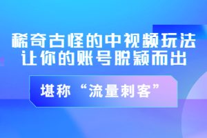 【副业3475期】中视频计划怎么赚钱：稀奇古怪的中视频玩法，堪称“流量刺客”（图文+视频)