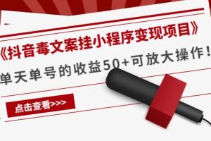 【副业3879】抖音文案号挂小程序赚钱项目，单天单号收益50+可批量操作