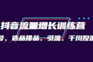 【副业3859】抖音流量怎么赚钱:月销1.6亿实操团队·抖音起号、选品排品、千川投流
