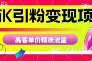 【第5912期】商K引粉变现项目,高客单价精准流量【揭秘】