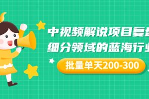 【副业3543】中视频哪个领域好赚钱：天气预报项目，细分蓝海领域，单天200-300收益