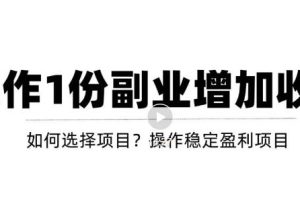 【副业3518期】新手副业适合做什么：新手通过副业增加收入，从项目选择到玩法分享！