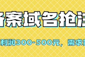 【第5827期】备案域名抢注怎么操作【全网首发】备案域名抢注，一单利润300-500元，需求量大