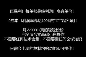 【第5803期】宝宝起名项目如何赚钱：零基础月入9000+的宝宝起名项目，每单纯利润躺赚【软件+教程】