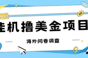 【第5773期】挂机赚美金项目：最新挂机撸美金礼品卡，可批量，单机200+【思路+教程】