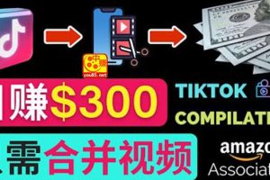 【副业3627】搬运Tiktok短视频到Youtube赚钱，只需下载，合并视频，日赚300美元
