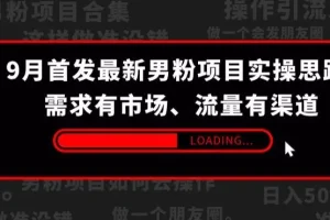 【第5765期】9月最新男粉项目，项目实操思路-需求有市场，流量有渠道【揭秘】