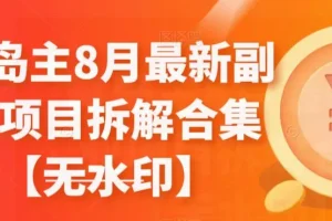【第5690期】副业赚钱的路子有哪些：黄岛主8月最新副业项目拆解合集【无水印】